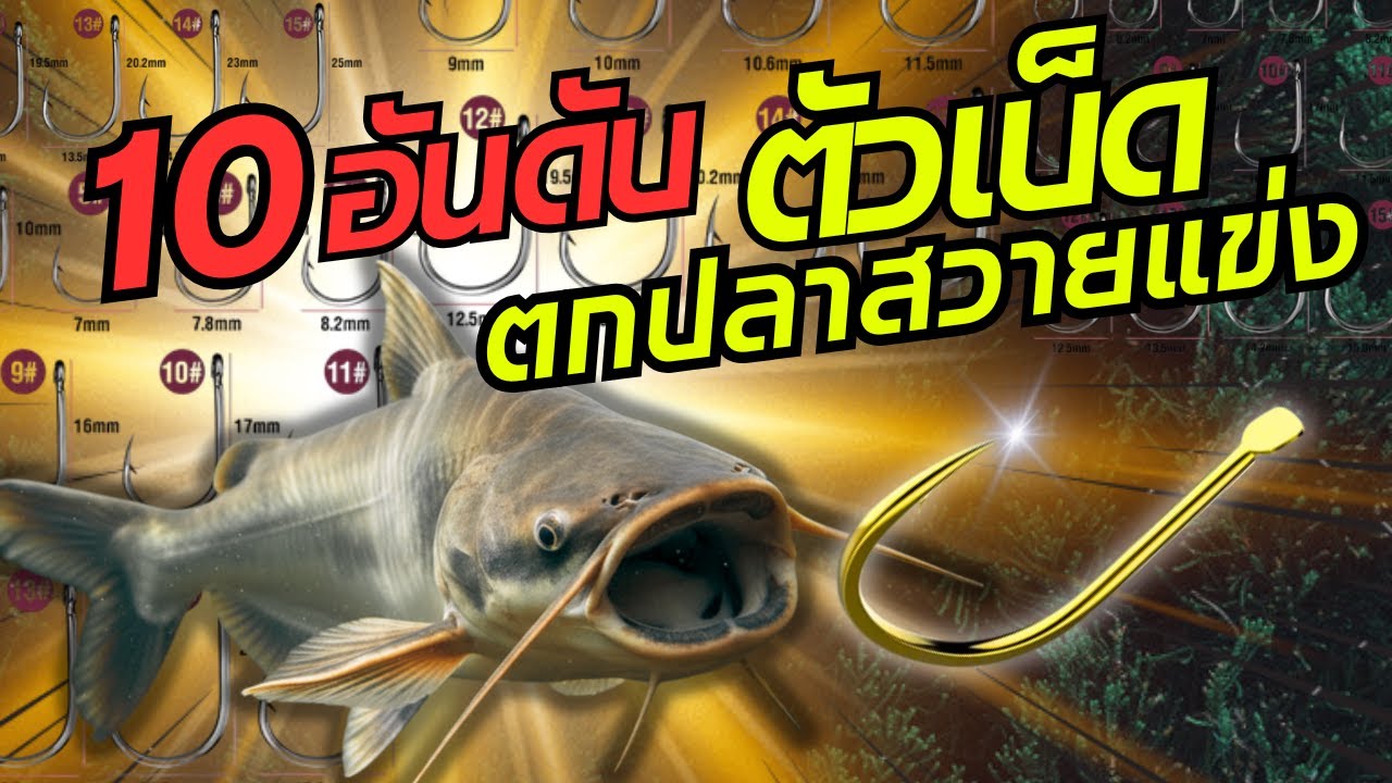 10อันดับตัวเบ็ดตกปลาสวายแข่ง