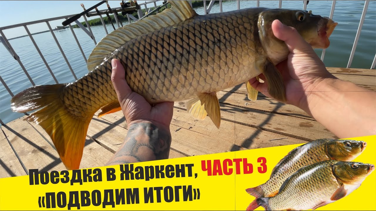 Поездка в Жаркент, Усекское озеро - Часть 3 