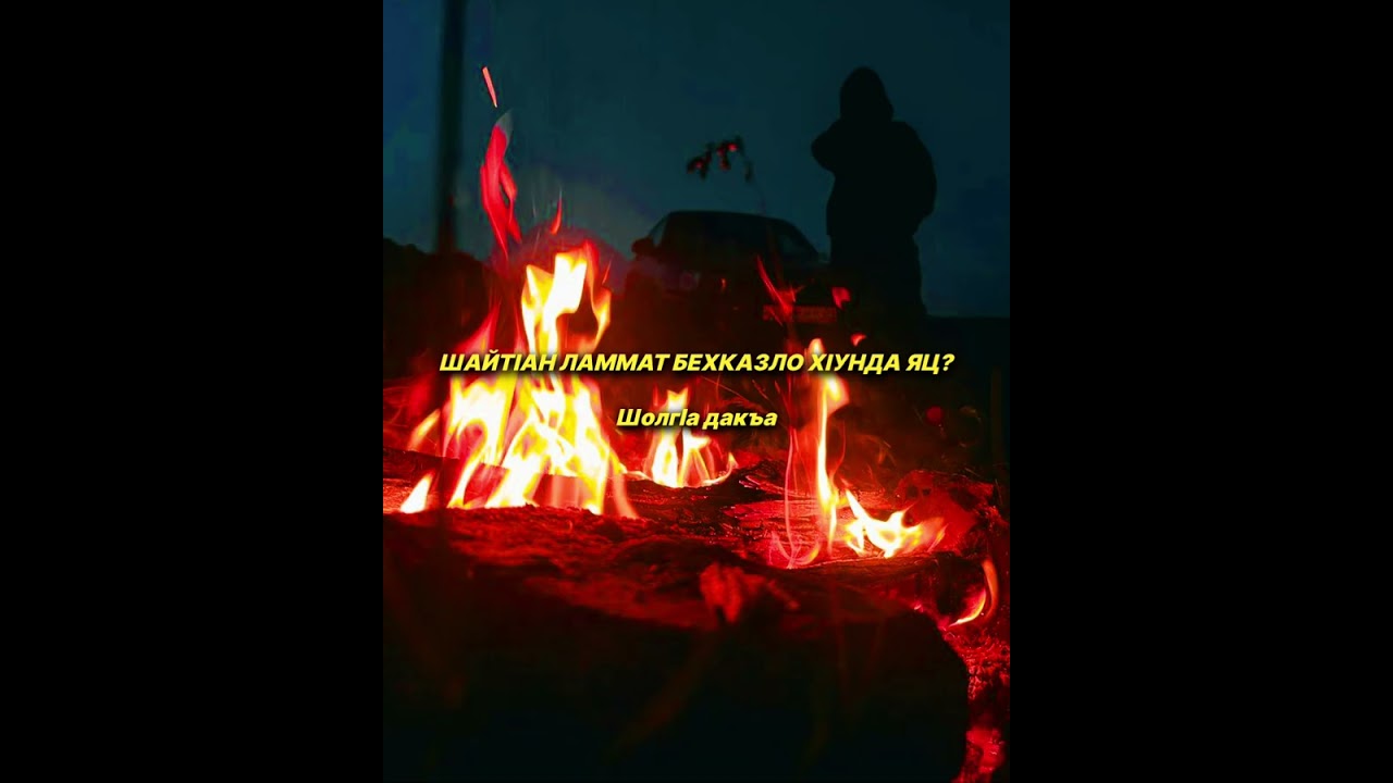 Шейх lели | Шайтlан ламмат Бехказло хlунда яц? Шолгlа дакъа.