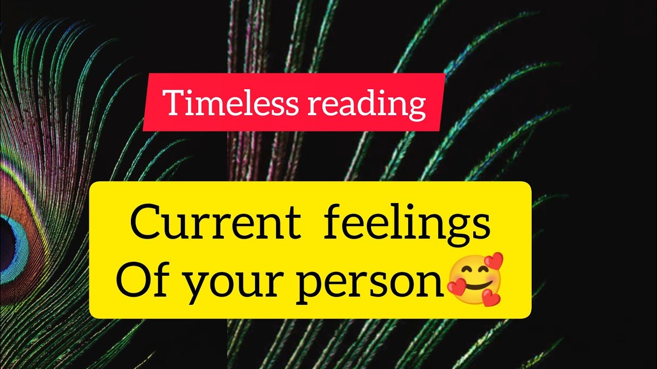 🌺🌺current feelings of your person😌malayalam tarot card reading 🥰love reading