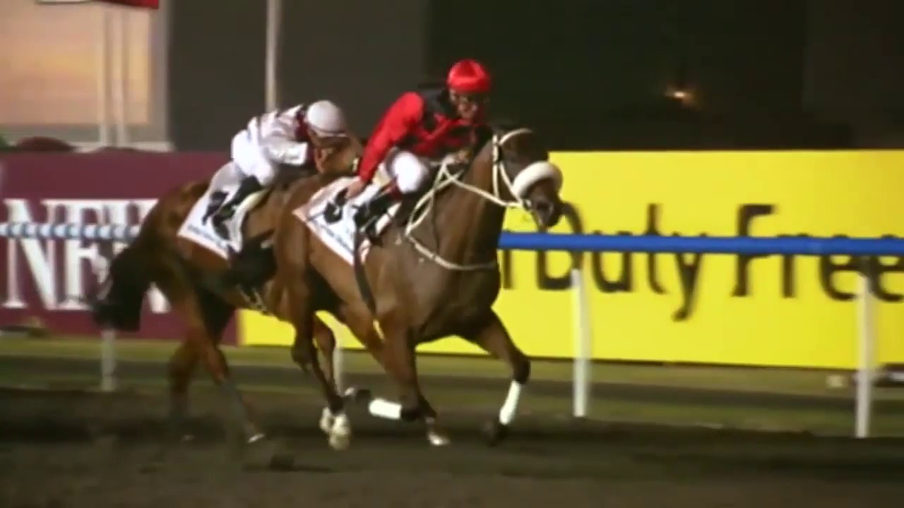 2011 Dubai Golden Shaheen G1 - Rocket Man (火箭人) - F.Coetzee