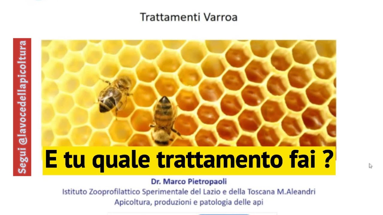 #varroa  quali sono i trattamenti ?