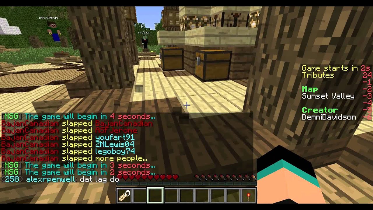 Hunger games WITH BAJAN AND ASF JEROME AND PETE