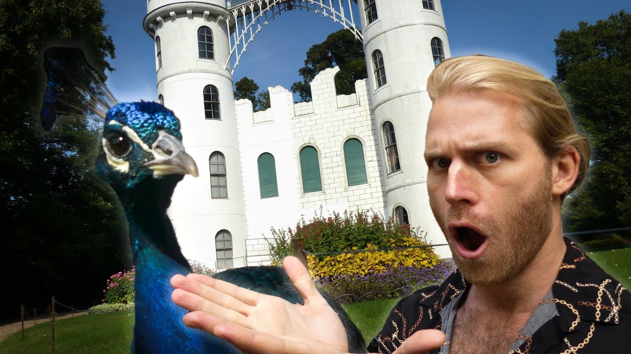 The Secret Island Near Berlin Where Peacocks Roam Free