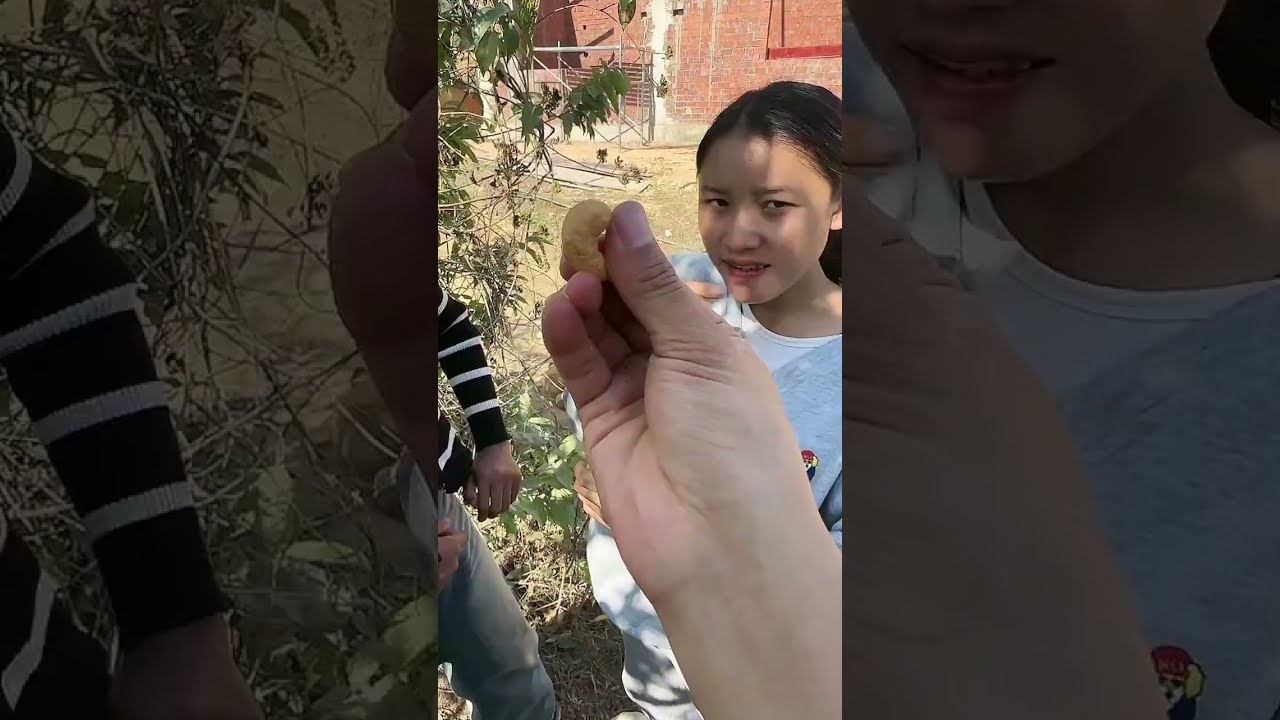 （1519）牛牛阿娜日常生活 去参加朋友的乔迁宴