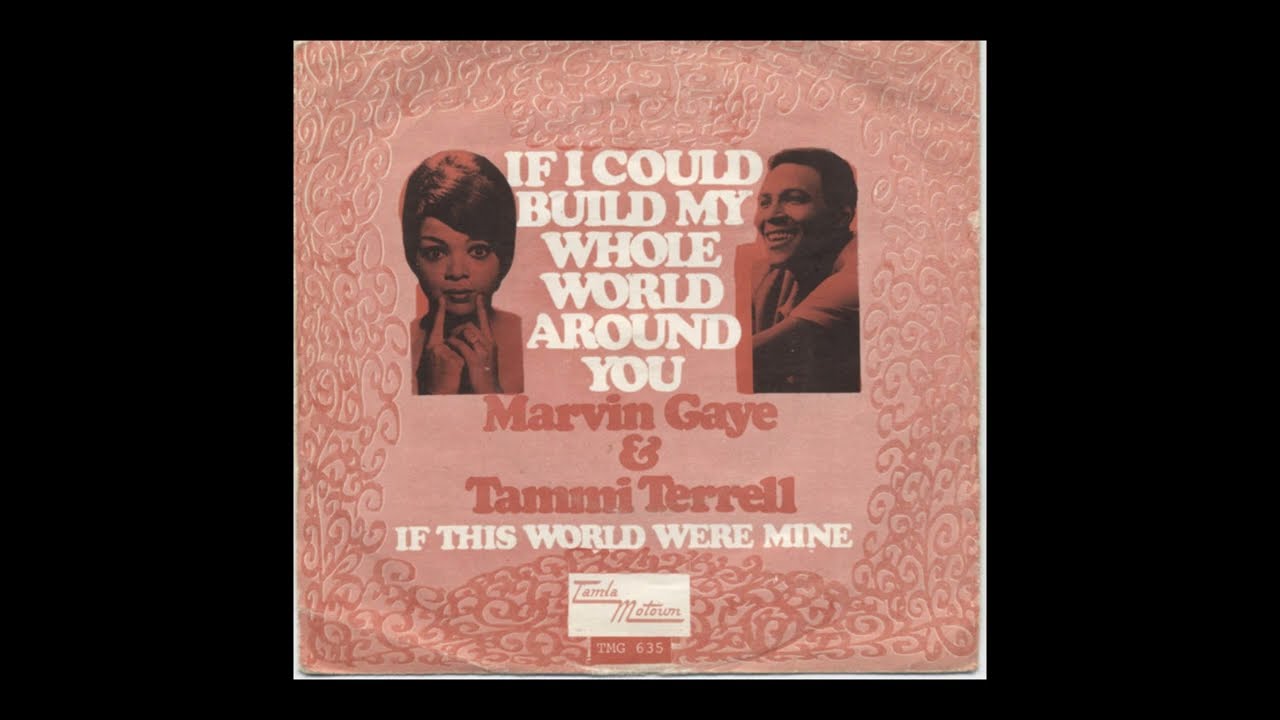 Marvin Gaye & Tammi Terrell - If This World Were Mine (Acapella)