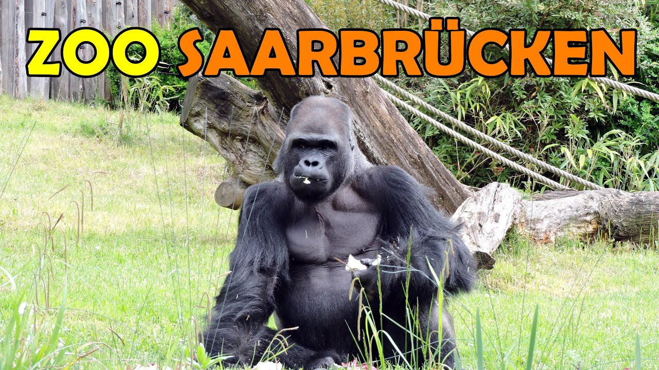 ZOO SAARBRÜCKEN