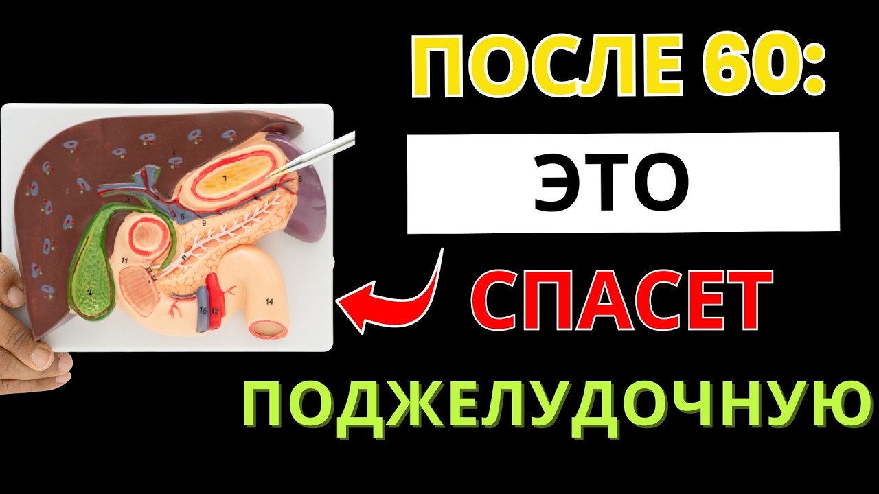Поджелудочная оживет! 7 продуктов целителей, которые снимают воспалени | Секреты Здоровья