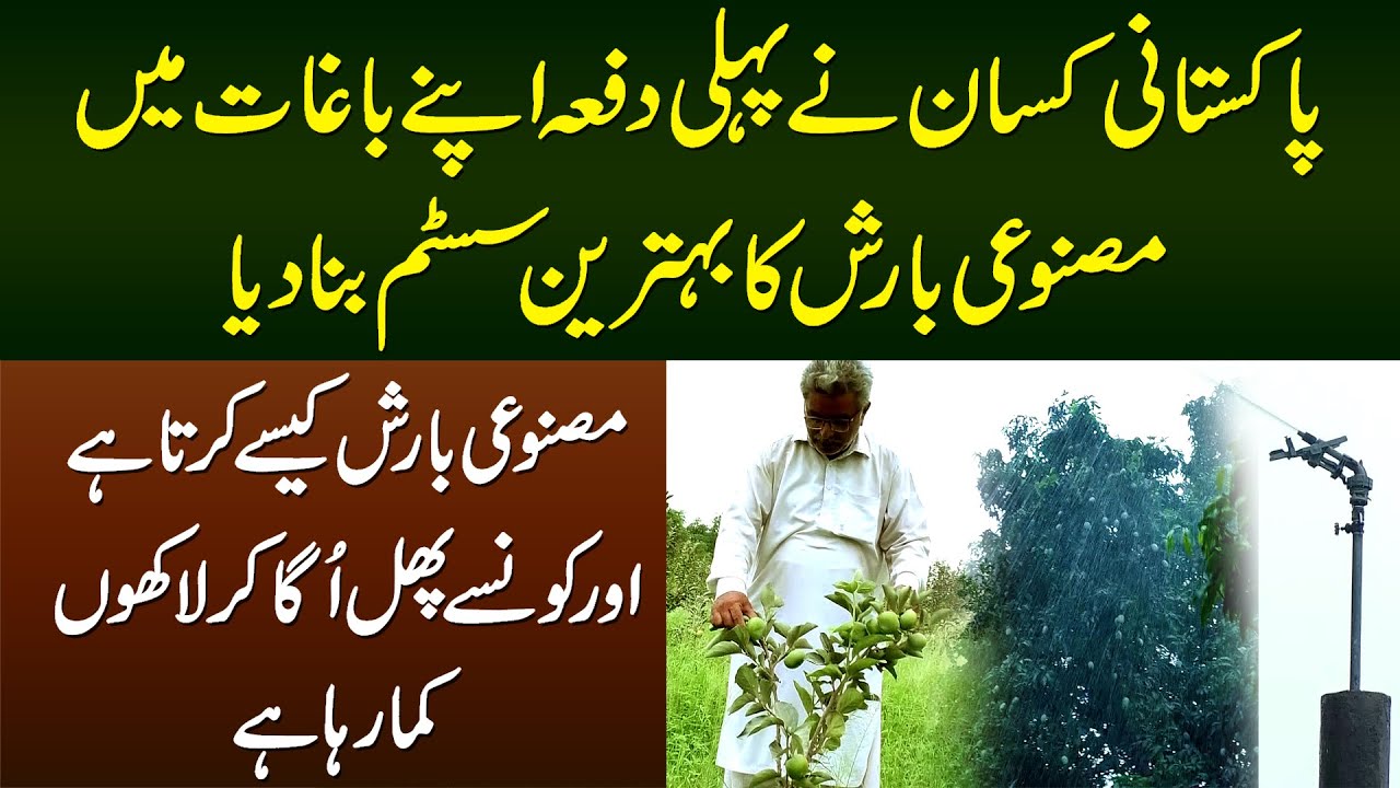 Pakistani Kisan Ne Masnoi Barish Ka System Bana Dia - Barish Kese Karta Hai? Konsa Phal Ugata Hai?
