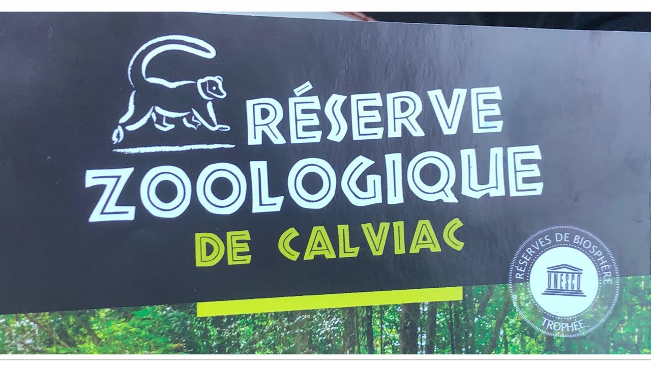 On vous emmene a la reserve zoologique de calviac.. allez goooo 😊😊