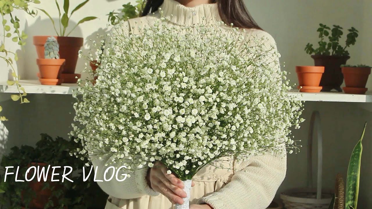 대형 안개꽃 꽃다발│안개꽃 부케│Baby's Breath Bouquet│Winter Bouquet