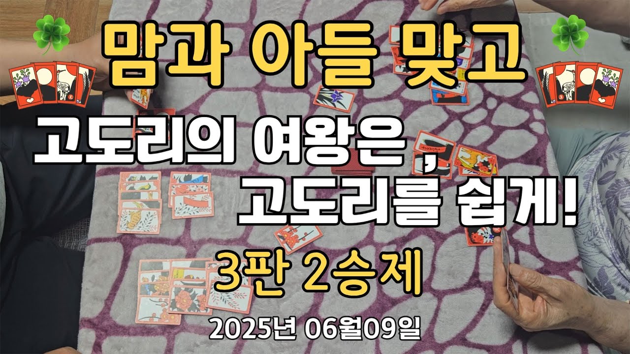 20250609 🎴🍀 고도리의 여왕은, 고도리를 쉽게! 맘앤썬 화투(고스톱) 한판 3선승제🍀🎴 #치매예방 #힐링채널 #웃음꽃취미생활 #화투 #고스톱 #소확행