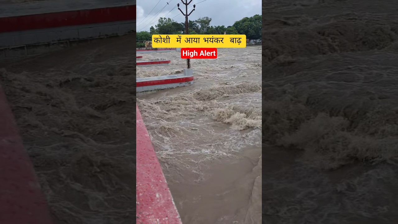 kosi me aaya baadh | kosi flood 2026 #flood #disaster #kosibarrage #indiaborder #shorts