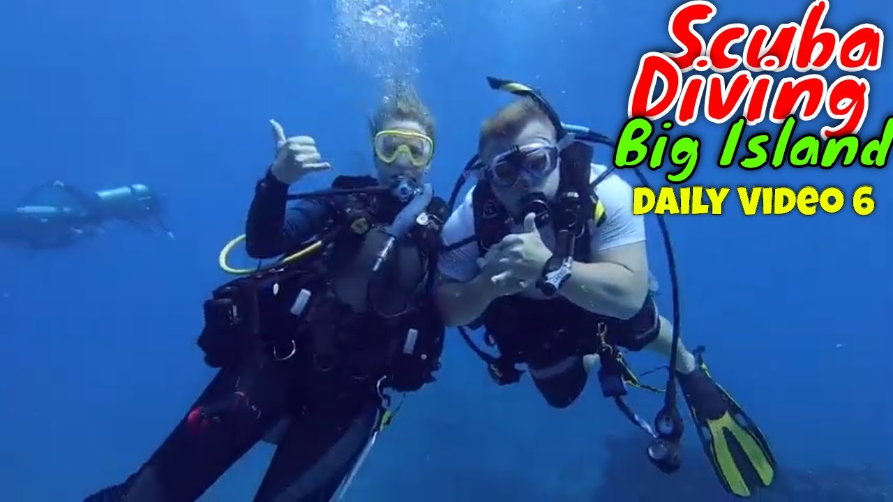 Kona Diving | Kona Honu Divers | Daily Video 6