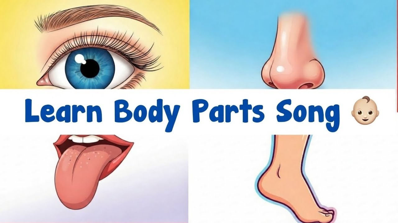 মানব দেহের বিভিন্ন অঙ্গ শেখা | Body Parts Name in Bengali & English for Kids 