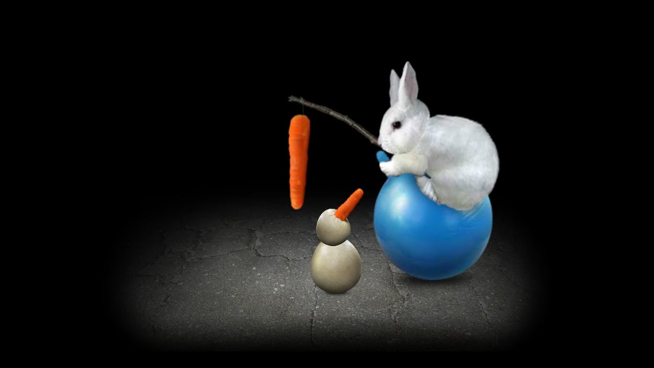 Bu tohumu bir daha görmek istemiyorum! | MITOZA