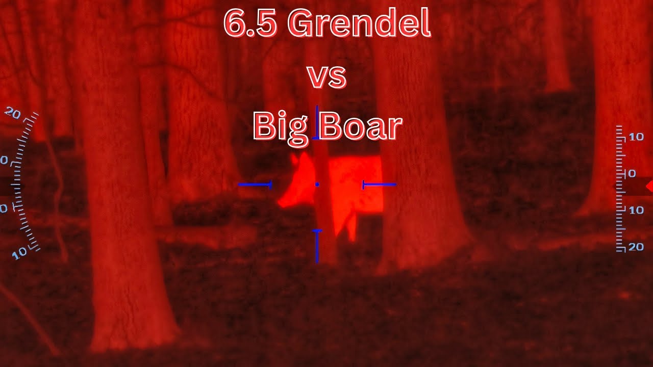 Охота на кабанов с использованием тепловизора... 6.5 Grendel с глушителем | Резонатор YHM K
