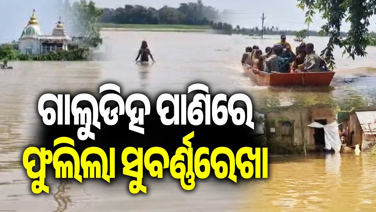 Balasore on High Alert as Subarnarekha Floods Spread; 129 Villages Marooned