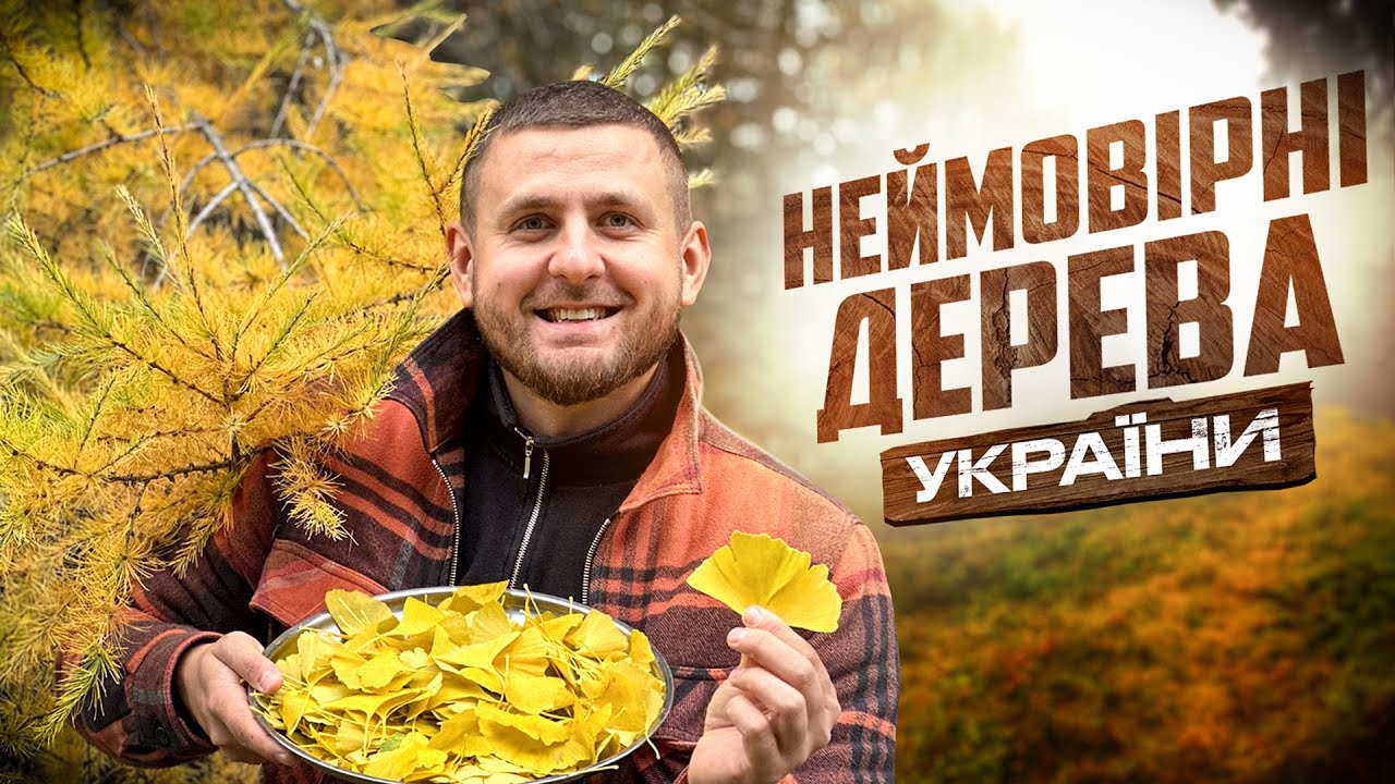 Дерева України, в які важко повірити