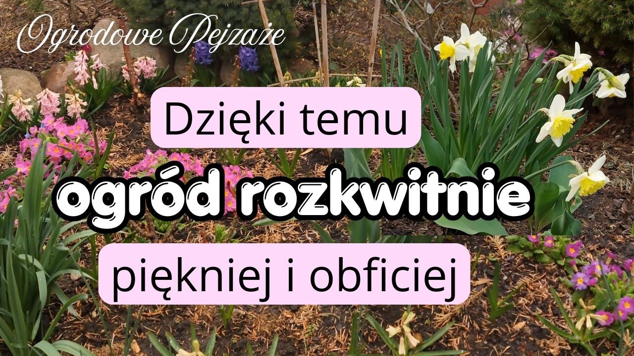 Растения в моем саду в восторге, три обработки в апреле.