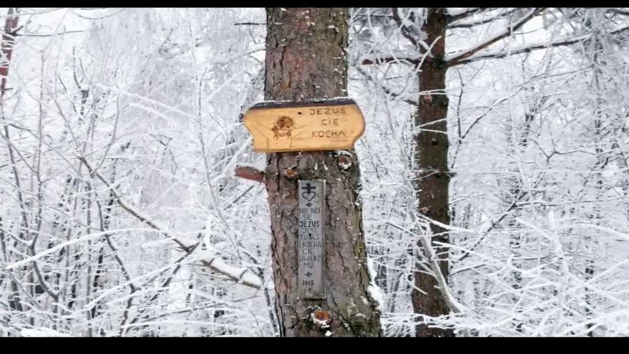Zaufałem Panu