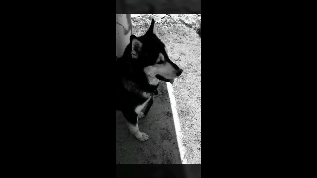Clip Cumple...#8 Bolo - Song of: Labrinth - No Ordinary