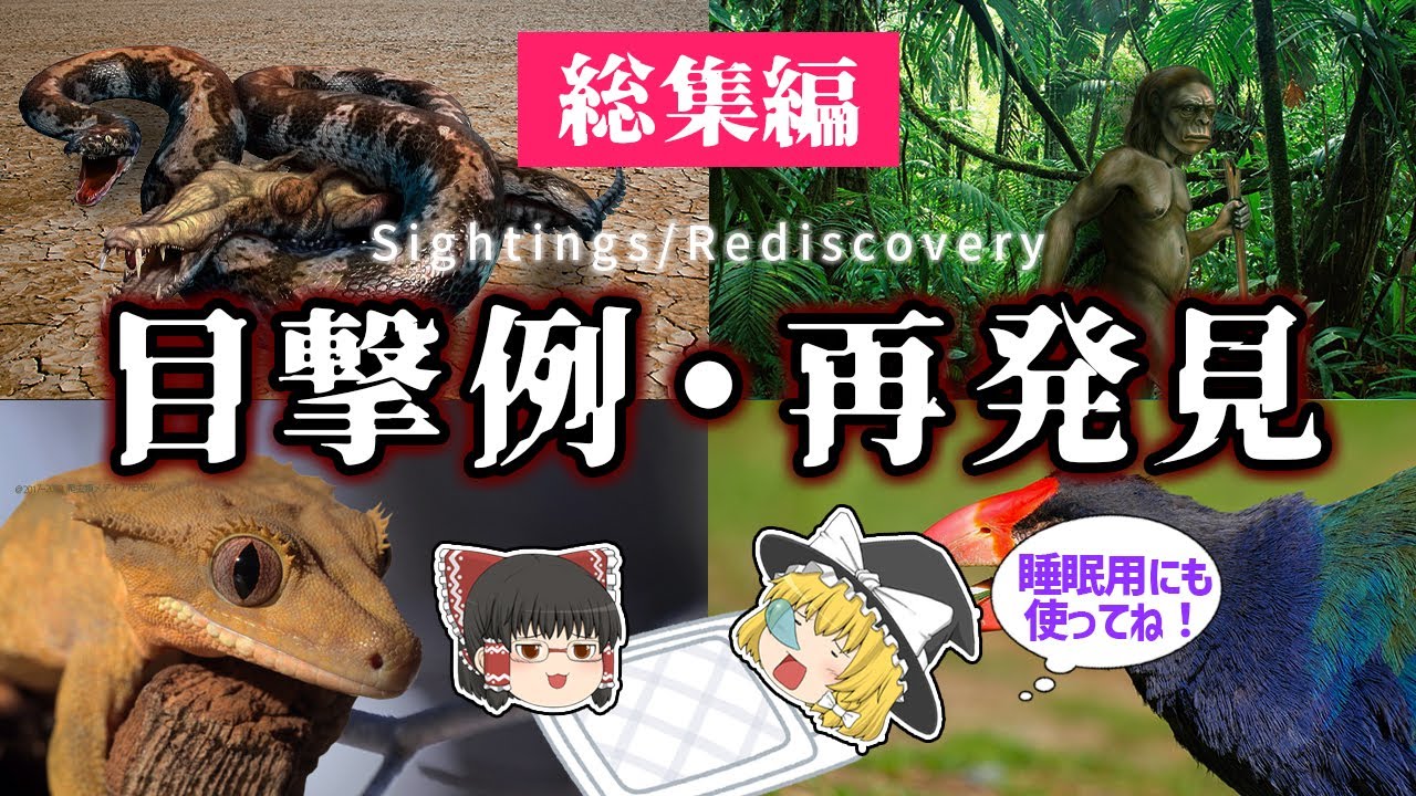 【睡眠用・ゆっくり解説】目撃例・再発見【広告最初のみ　途中広告なし】
