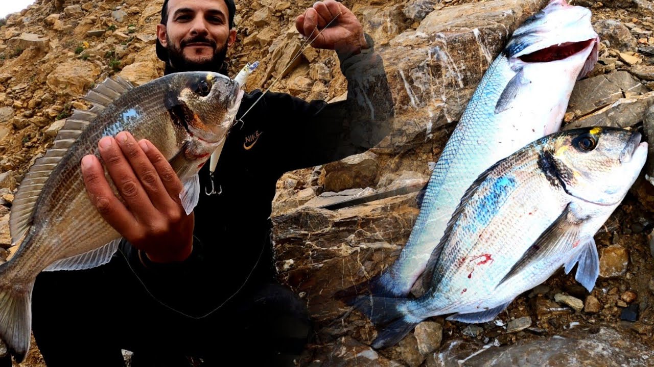 A simple way to attract fish to the fishing spot and catch them using artificial bait