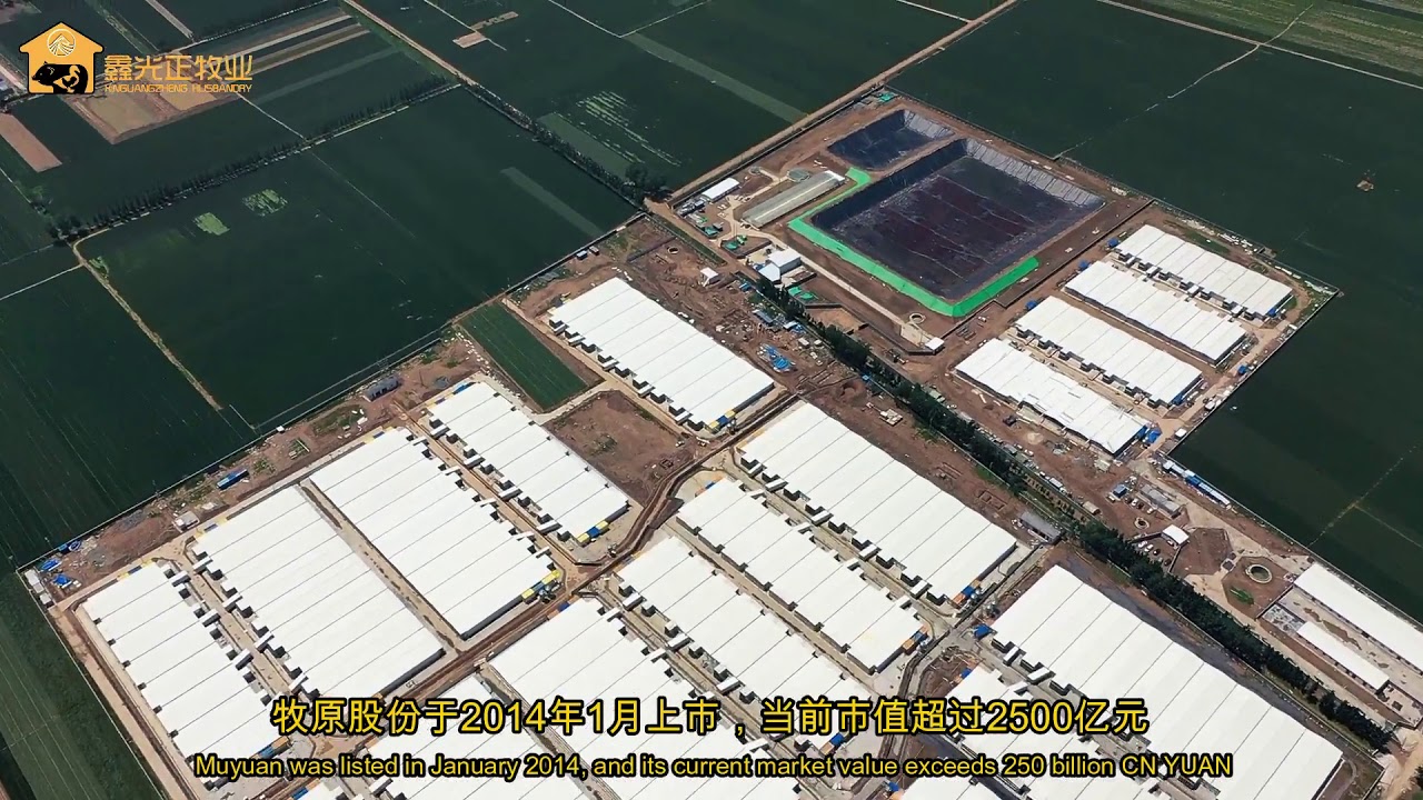 Designing and undertaking steel buildings for MUYUAN