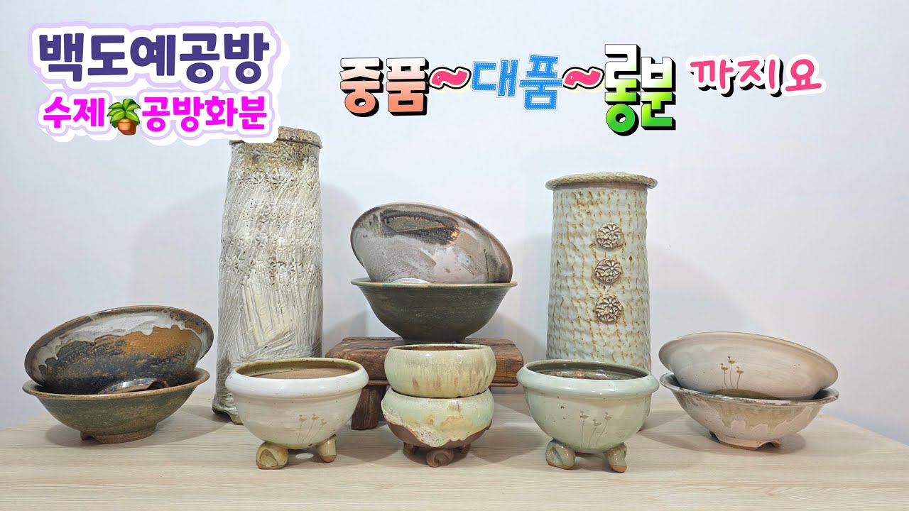 20261014(255회영상)중품화분 부터 대품/특별한 수제 롱분까지 준비되었어요🤗🪴#수제화분#공방화분#다육화분#선인장 #야생화화분#아프리카식물#롱분#대품화분#분갈이화분#고급화분 