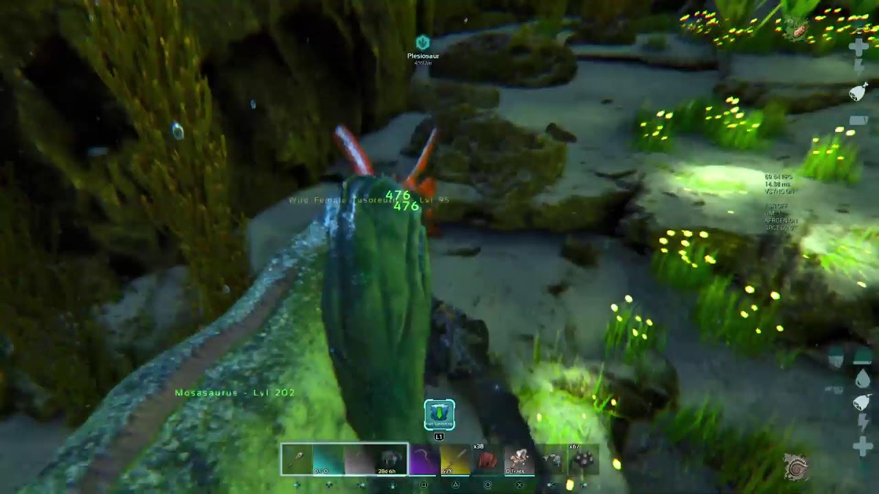 ARK