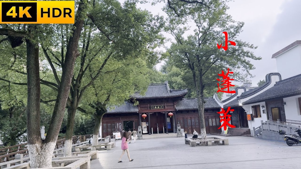 1517年古銀杏 230年側柏，小蓬萊 能仁寺 嘉興 新滕  黃藥師被全真教圍困之地，1