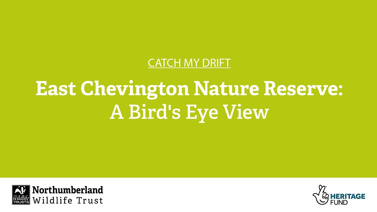 East Chevington Nature Reserve: A Bird's Eye View