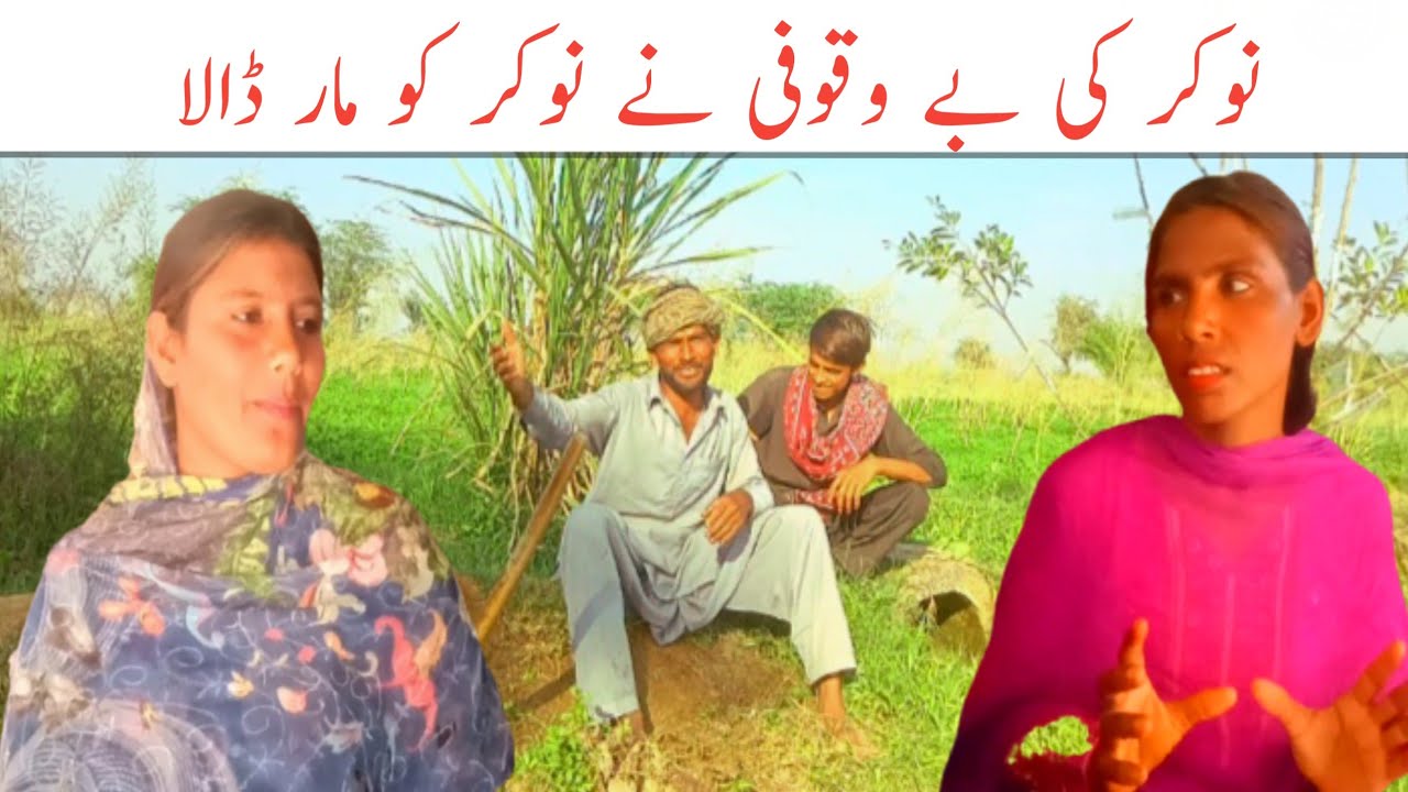Naukar ki bevkufi, funny video ,Punjabi Saleem siyana, billo ,lachi , ramjigulabo@rachnavitv523
