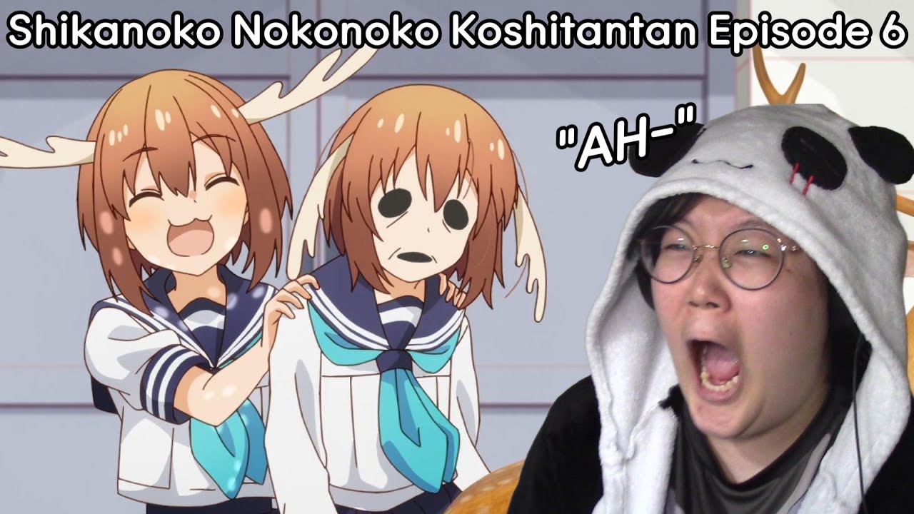 Newbie Jun Reacts | My Deer Friend Nokotan (Episode 6)