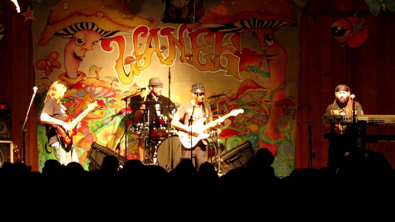 COPE - Wanee Fest 2012 - Video B