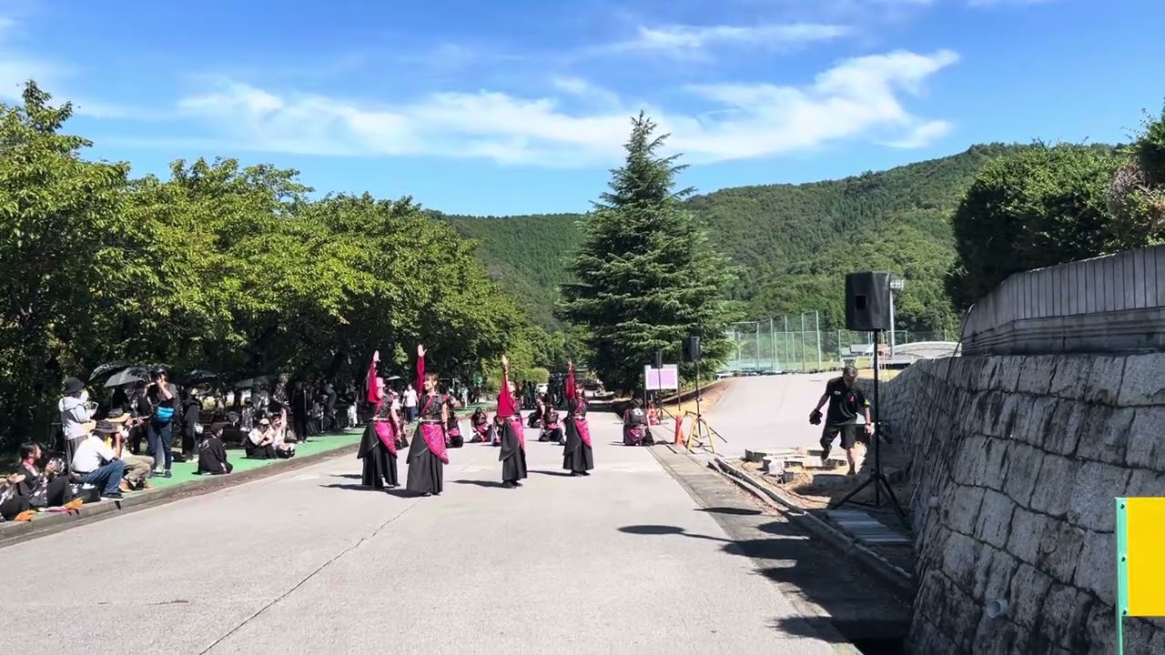 桜華乱舞 長浜あざいあっぱれ祭り2025ストリート①【桜絆-sana-】