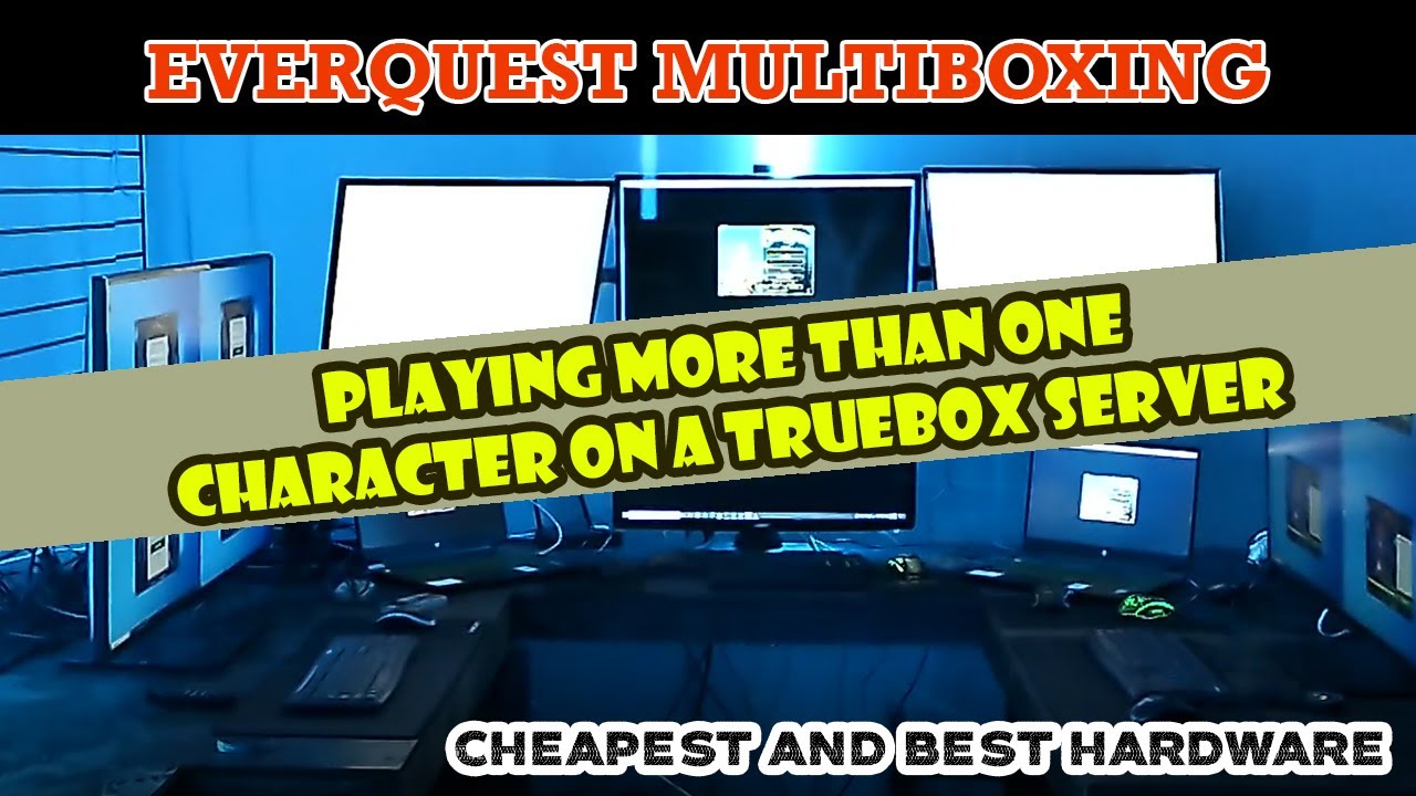 Best Setup to MultiBox on an Everquest TrueBox Server