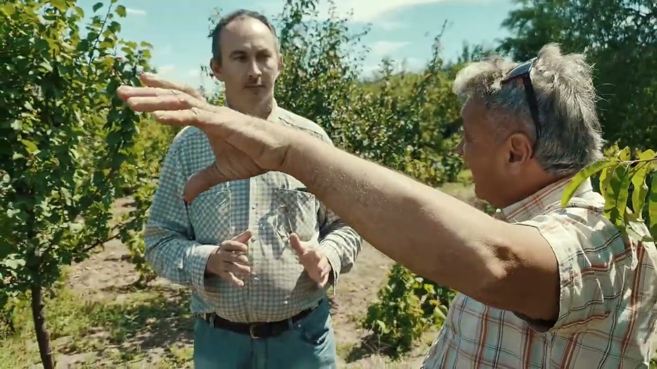 Tome i Tavankućanin Grgo Orčić