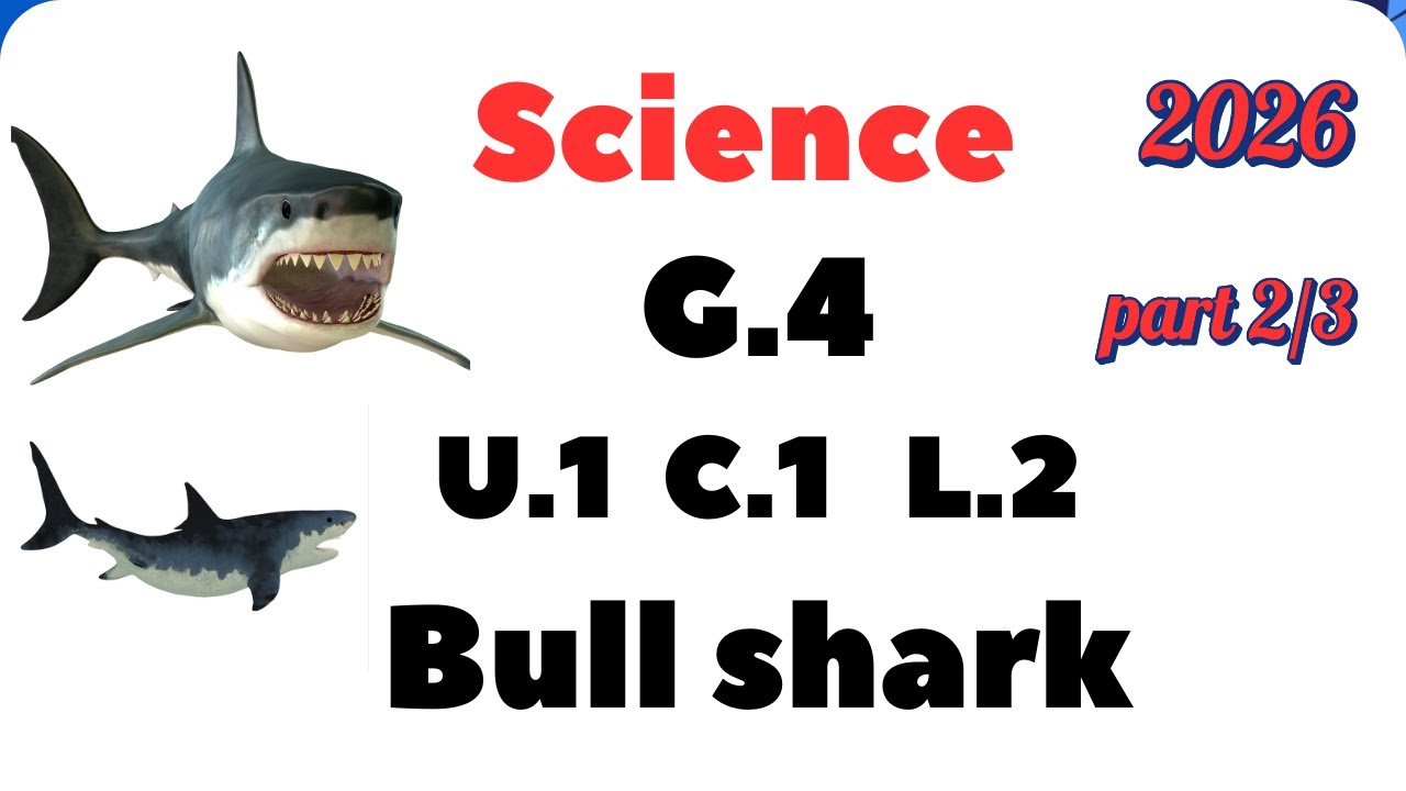 Science | Grade 4 |Bull shark | Unit 1 concept 1 Lesson 2 |  Part 2/3 _ 1st Term