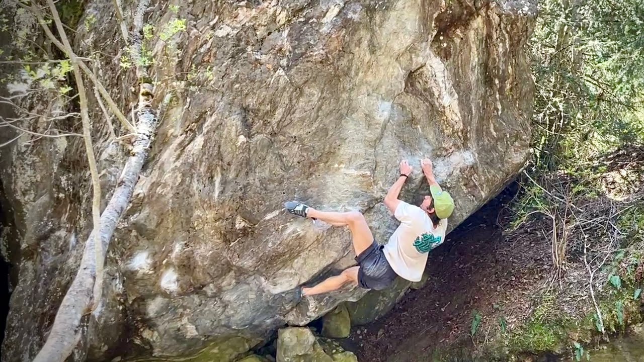 BBC Brown Bovernier 8A (Fionnay/Plamproz)