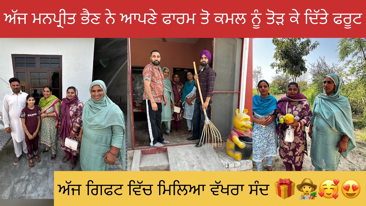 ਮਾ ਆਪਣੇ ਪੇਕੇ ਜਾ ਹੋਗੀ ਖੁਸ਼ ☺️😃😁ਫਾਰਮ ਹਾਊਸ ਤੇ ਲੱਗੀ ਰੌਣਕ ਤੋੜੇ ਫਰੂਟ 🍒🥭🍈🍊#happyfarminglife #vlog 