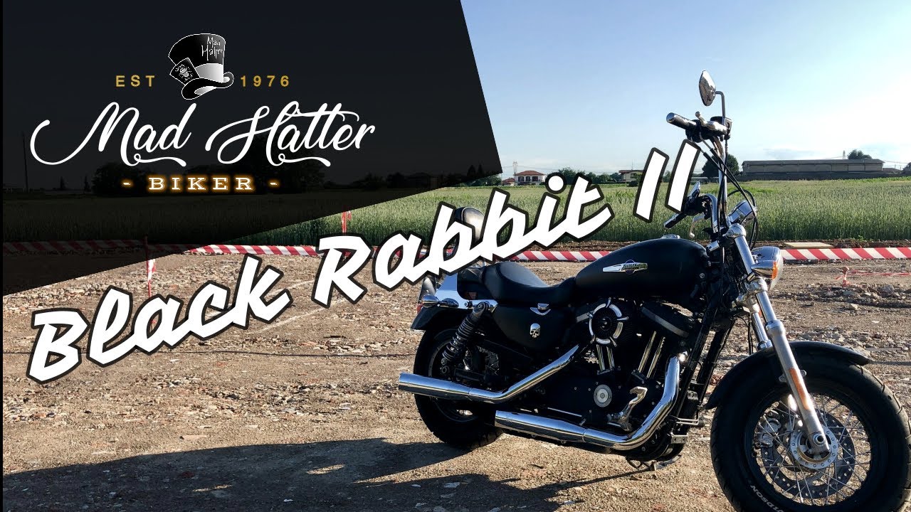 BlackRabbitII - Harley Davidson Sportster 1200 custom (XL1200CB)