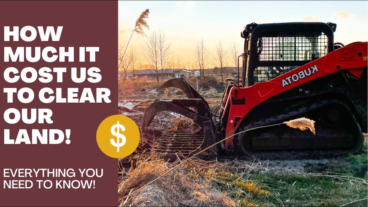 How much it really cost to clear land and how to do it!