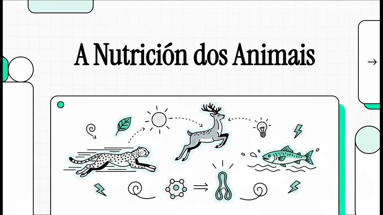 A función de nutrición dos animais | Descubrimos animais e plantas #1
