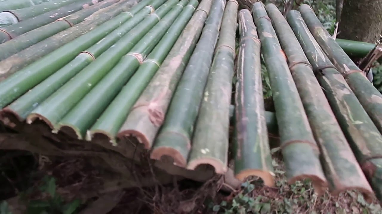 Acampamento Bushcraft de 5 dias Inverno