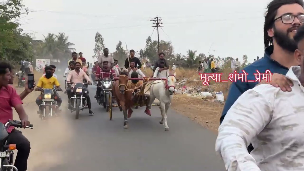 दुंडगे जनरल घोड गाडी 🥇सुनील मुतनाळ🥈गाजू मामा 🥉महागांव संकेत