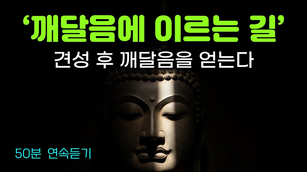 당신을 깨달음으로 안내합니다 | 견성을 거쳐 깨달음으로 나아가라 | 통합본 50분 연속듣기