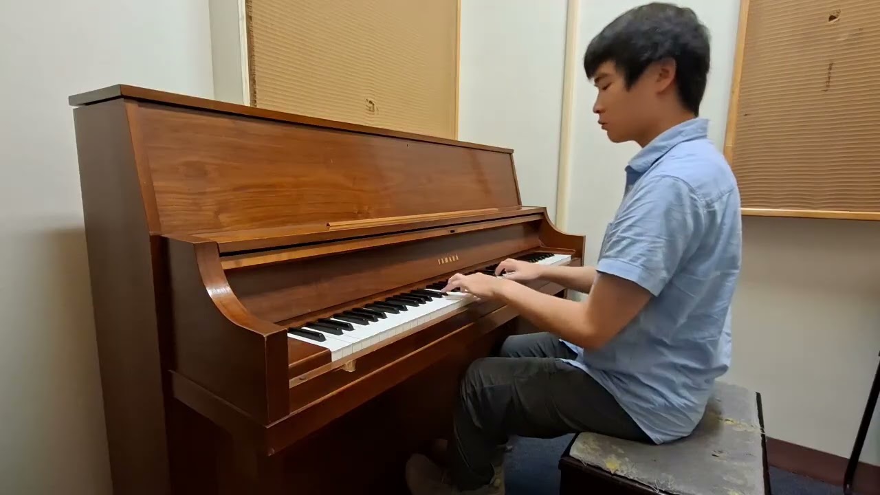 Revolutionary Etude - Chopin