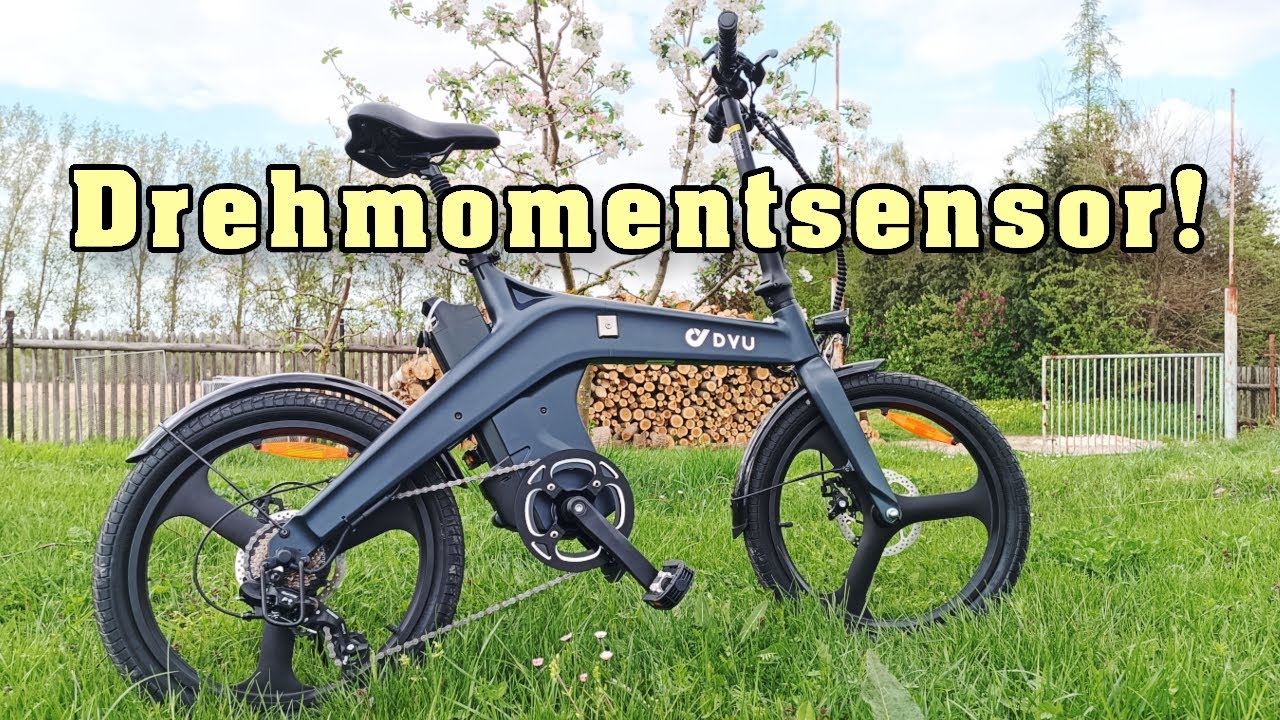 DYU T1, das preiswerte 20